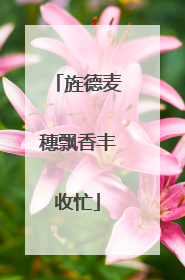 旌德麦穗飘香丰收忙