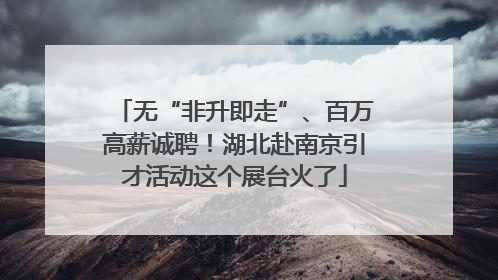 无“非升即走”、百万高薪诚聘！湖北赴南京引才活动这个展台火了