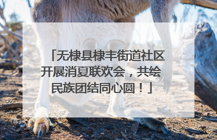 无棣县棣丰街道社区开展消夏联欢会，共绘民族团结同心圆！
