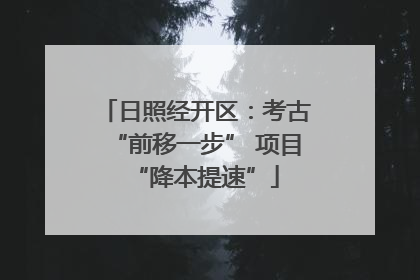日照经开区：考古“前移一步” 项目“降本提速”