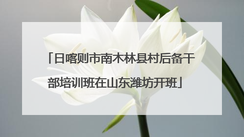 日喀则市南木林县村后备干部培训班在山东潍坊开班