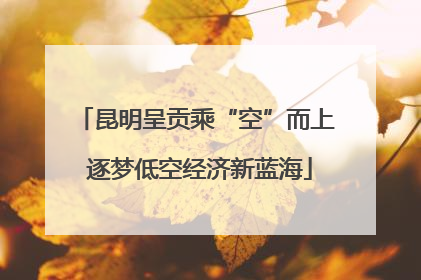 昆明呈贡乘“空”而上 逐梦低空经济新蓝海