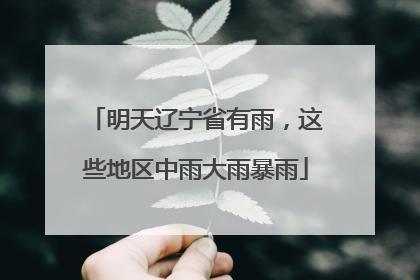 明天辽宁省有雨，这些地区中雨大雨暴雨