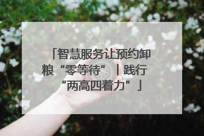 智慧服务让预约卸粮“零等待”丨践行“两高四着力”