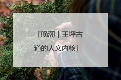 晚潮｜王坪古道的人文内核
