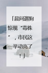 晨间遛狗惊现“毒株”，市民这一举动亮了！