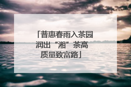 普惠春雨入茶园 润出“湘”茶高质量致富路