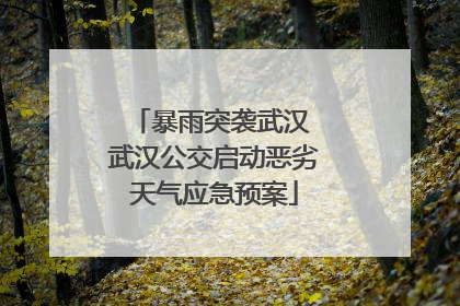 暴雨突袭武汉 武汉公交启动恶劣天气应急预案