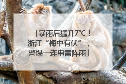 暴雨后猛升7℃！浙江“梅中有伏”，警惕一连串雷阵雨