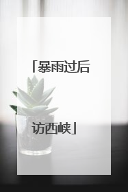 暴雨过后访西峡