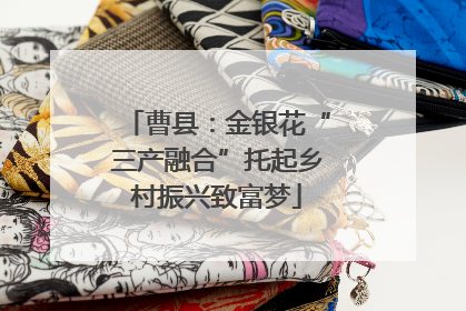 曹县：金银花“三产融合”托起乡村振兴致富梦
