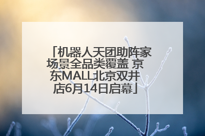 机器人天团助阵家场景全品类覆盖 京东MALL北京双井店6月14日启幕