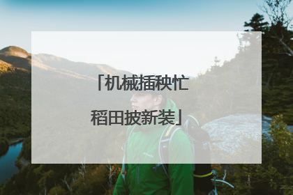 机械插秧忙 稻田披新装