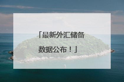 最新外汇储备数据公布！