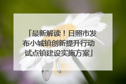 最新解读！日照市发布小城镇创新提升行动试点镇建设实施方案