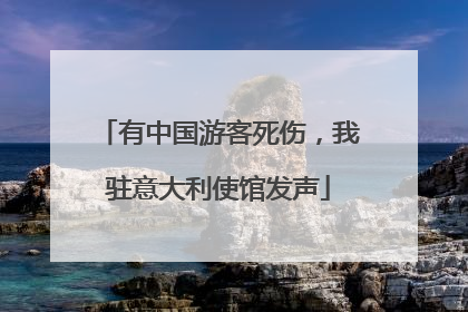 有中国游客死伤，我驻意大利使馆发声