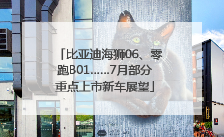 比亚迪海狮06、零跑B01……7月部分重点上市新车展望