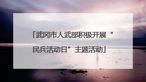 武冈市人武部积极开展“民兵活动日”主题活动