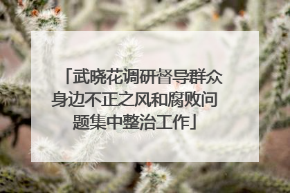 武晓花调研督导群众身边不正之风和腐败问题集中整治工作