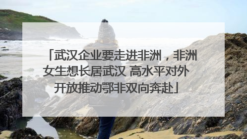 武汉企业要走进非洲，非洲女生想长居武汉 高水平对外开放推动鄂非双向奔赴