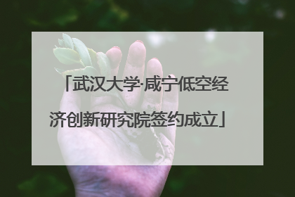 武汉大学·咸宁低空经济创新研究院签约成立