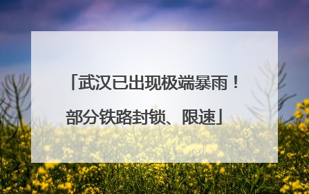 武汉已出现极端暴雨！部分铁路封锁、限速