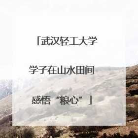 武汉轻工大学学子在山水田间感悟“粮心”