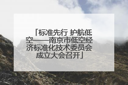 标准先行 护航低空——南京市低空经济标准化技术委员会成立大会召开