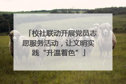 校社联动开展党员志愿服务活动，让文明实践“升温着色”