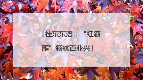 桂东东洛：“红领雁”领航百业兴