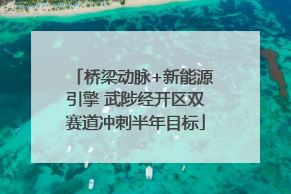 桥梁动脉+新能源引擎 武陟经开区双赛道冲刺半年目标