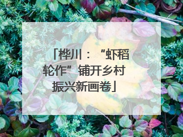 桦川：“虾稻轮作”铺开乡村振兴新画卷