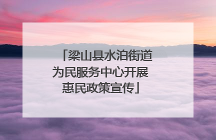 梁山县水泊街道为民服务中心开展惠民政策宣传
