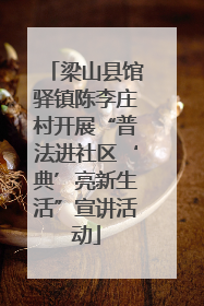 梁山县馆驿镇陈李庄村开展“普法进社区‘典’亮新生活”宣讲活动