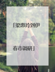 梁惠玲到伊春市调研