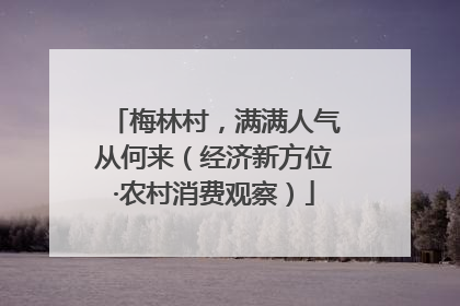 梅林村，满满人气从何来（经济新方位·农村消费观察）