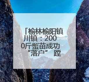 榆林榆阳镇川镇：2000斤蟹苗成功“落户” 蹚出“稻蟹共生”生态种养新路径