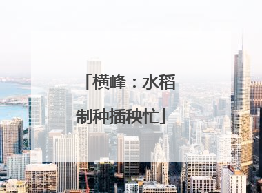 横峰：水稻制种插秧忙