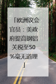 欧洲议会官员：美政府提高钢铝关税至50%毫无道理
