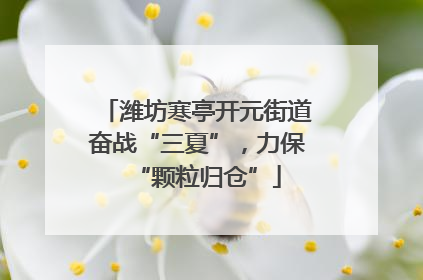 潍坊寒亭开元街道奋战“三夏”，力保“颗粒归仓”