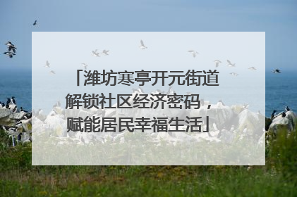 潍坊寒亭开元街道解锁社区经济密码，赋能居民幸福生活