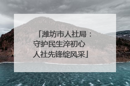潍坊市人社局：守护民生淬初心 人社先锋绽风采