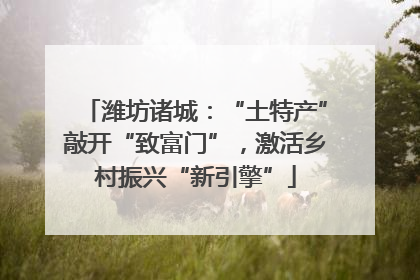 潍坊诸城：“土特产”敲开“致富门”，激活乡村振兴“新引擎”
