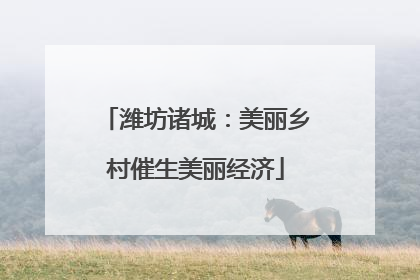 潍坊诸城：美丽乡村催生美丽经济