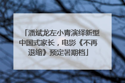 潘斌龙左小青演绎新型中国式家长，电影《不再退缩》预定暑期档
