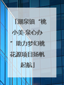 潮泉镇“桃小美·泉心办”助力梦幻桃花源项目扬帆起航