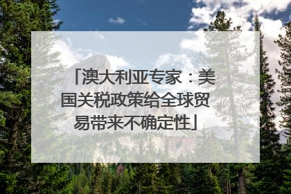 澳大利亚专家：美国关税政策给全球贸易带来不确定性