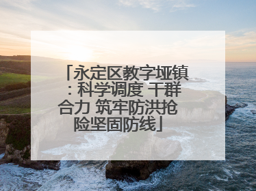 永定区教字垭镇：科学调度 干群合力 筑牢防洪抢险坚固防线