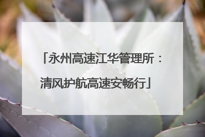 永州高速江华管理所：清风护航高速安畅行