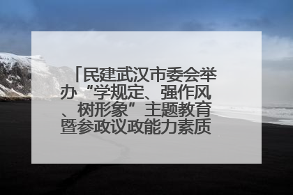 民建武汉市委会举办“学规定、强作风、树形象”主题教育暨参政议政能力素质提升培训班